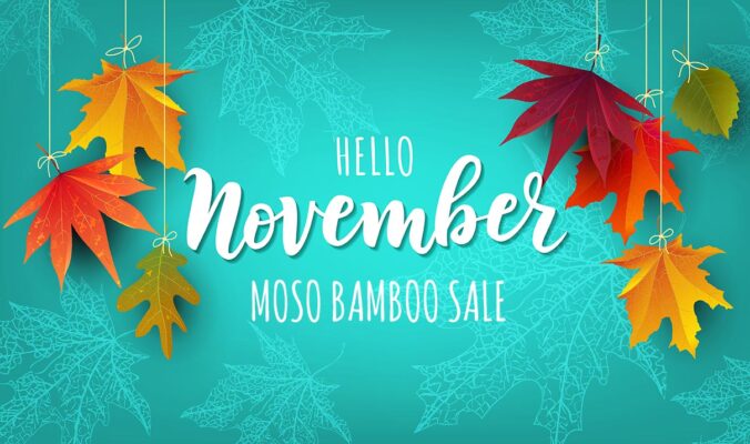 moso bamboo sale