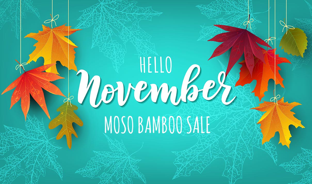 moso bamboo sale